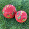 5 Inch Playground Ball - Dinosaurs Red