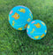 7 Inch Playground Ball - Fish